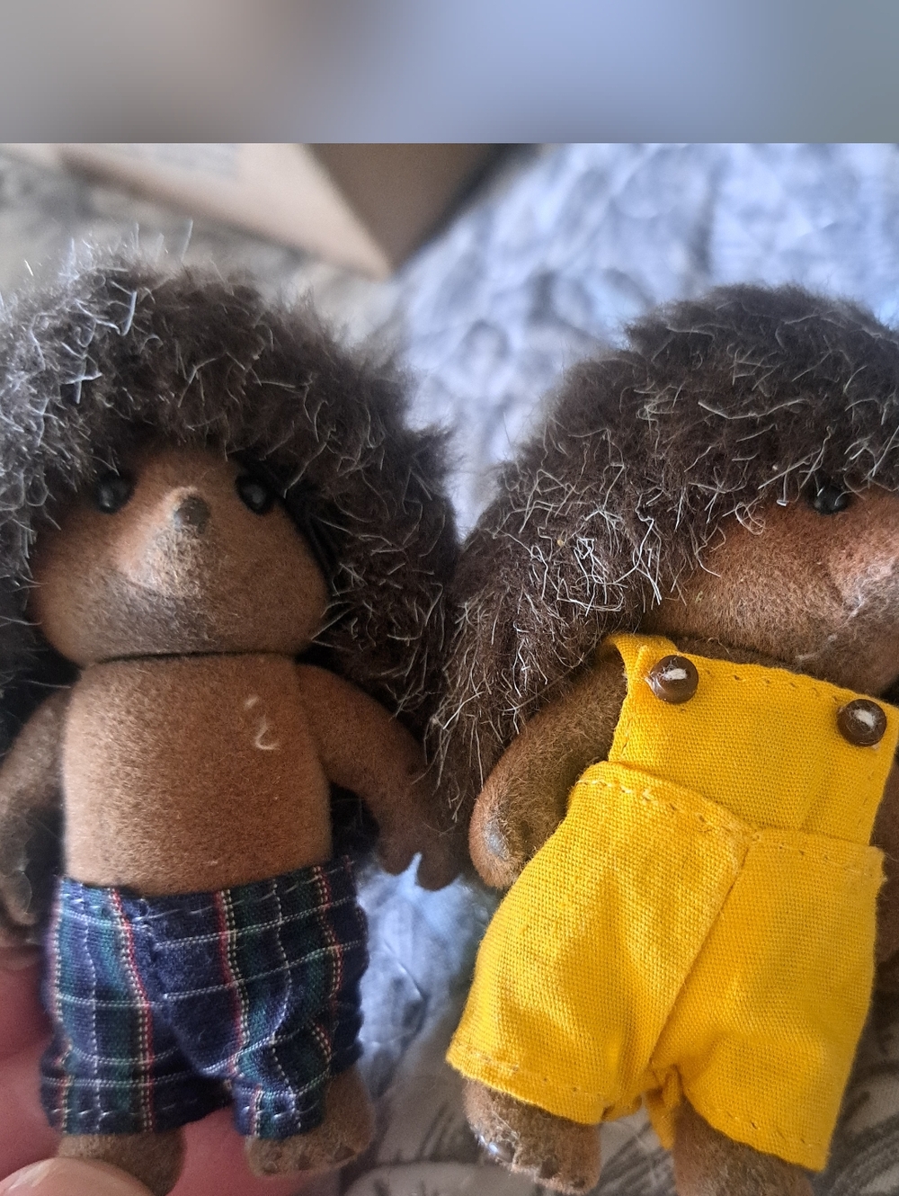 Calico Critters HEDGEHOGS